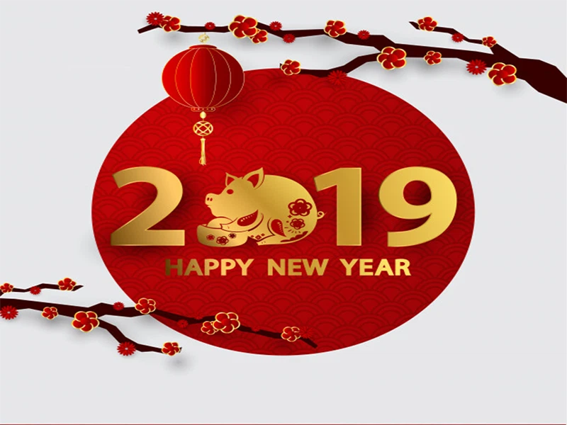 Sunnyjoint